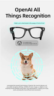 Smart glasses