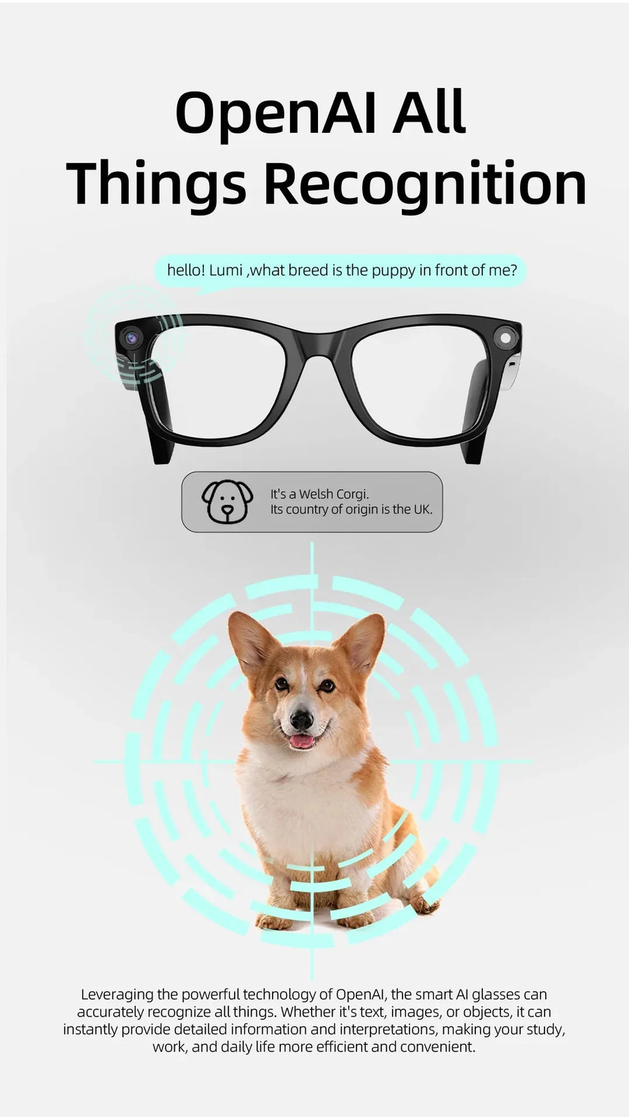 Smart glasses